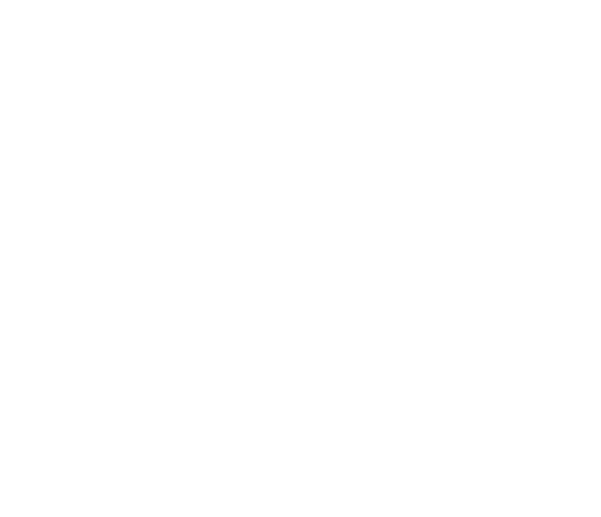 Palinopsia Ceramics Logo