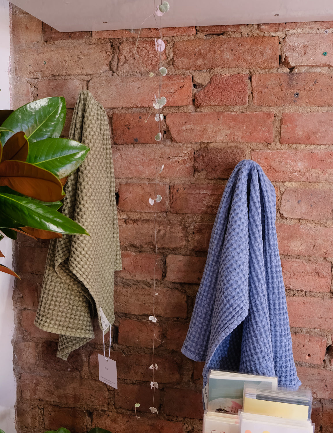 Brick wall with a shelf, plants, and a blue and green waffle towel.