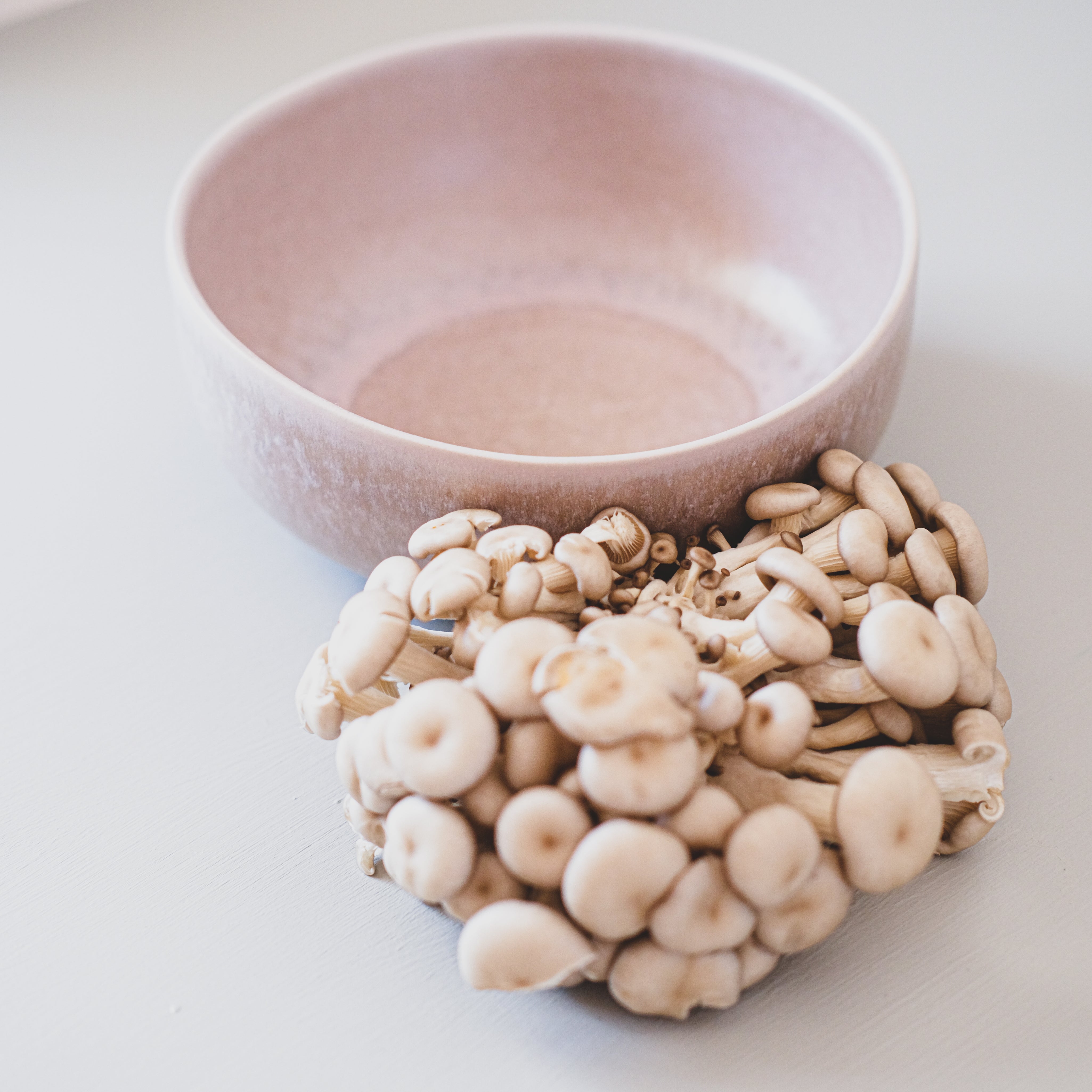 Top angle view of a mushroom grey handmade ceramic bowl by Palinopsia styled with oyster mushrooms