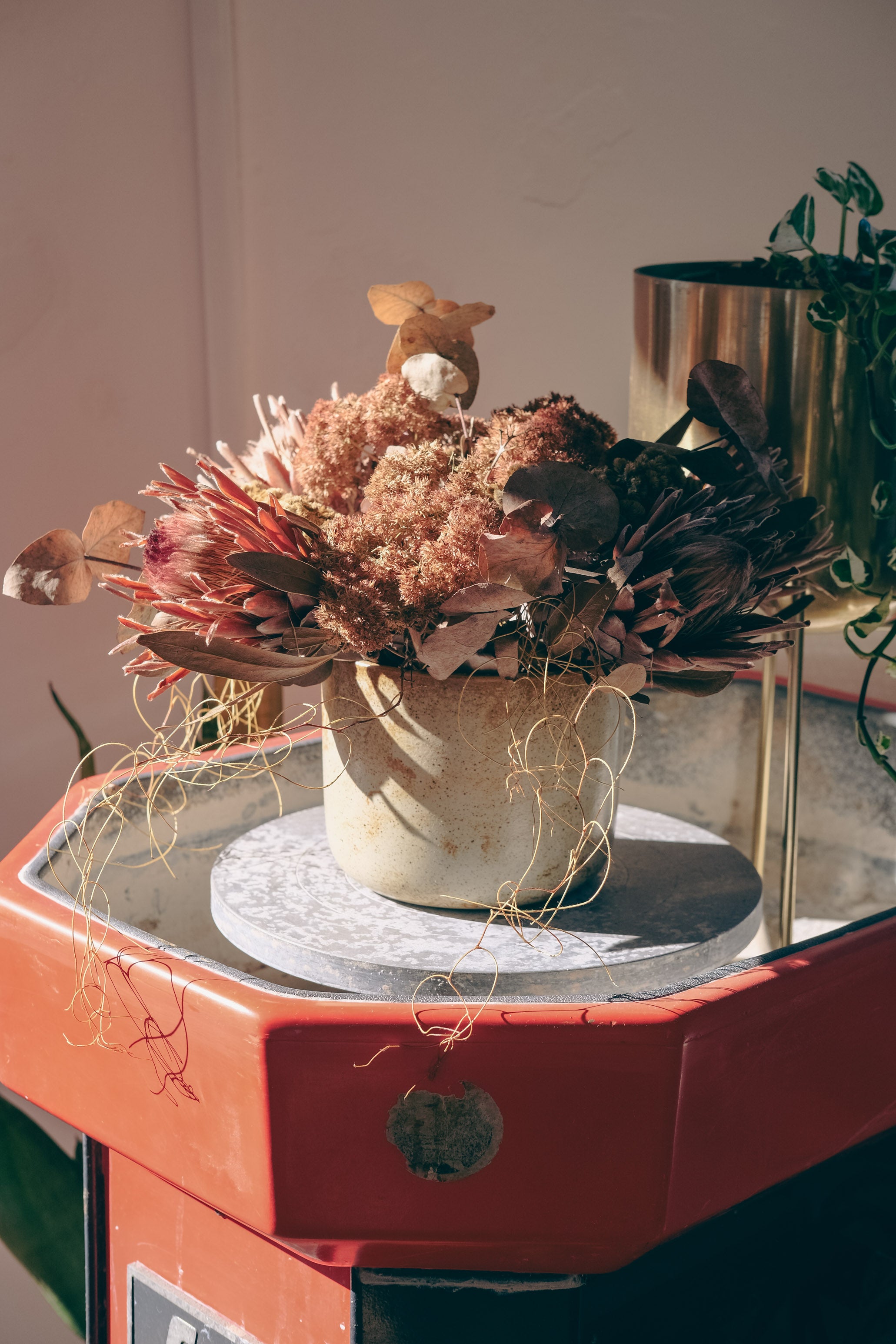 A dried floral arrangement in a small beige pot, displayed on a round marble plinth atop an orange-red vintage stand-up ceramic wheel. The bouquet features dusty pink, brown, and muted red botanicals with delicate hanging strands in Palinopsia Ceramic store in Newcastle. 