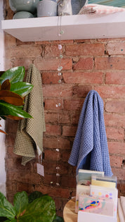 Brick wall with a shelf, plants, and a blue and green waffle towel.