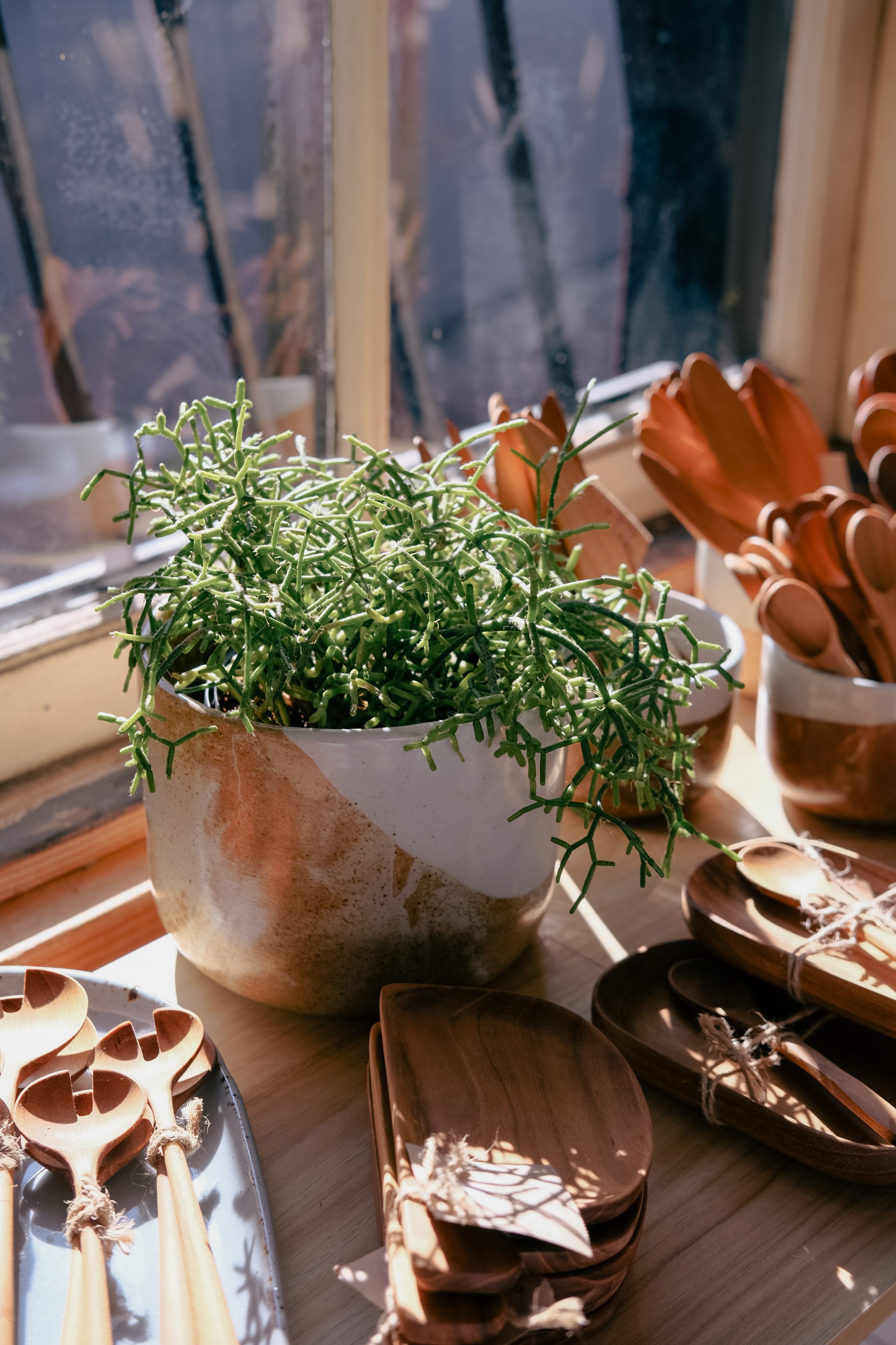 A rustic blue, beige and brown ceramic planter filled with leafy green herbs, styled on a wooden table alongside wooden utensils and dishes near a window in Palinopsia’s Newcastle ceramics store.