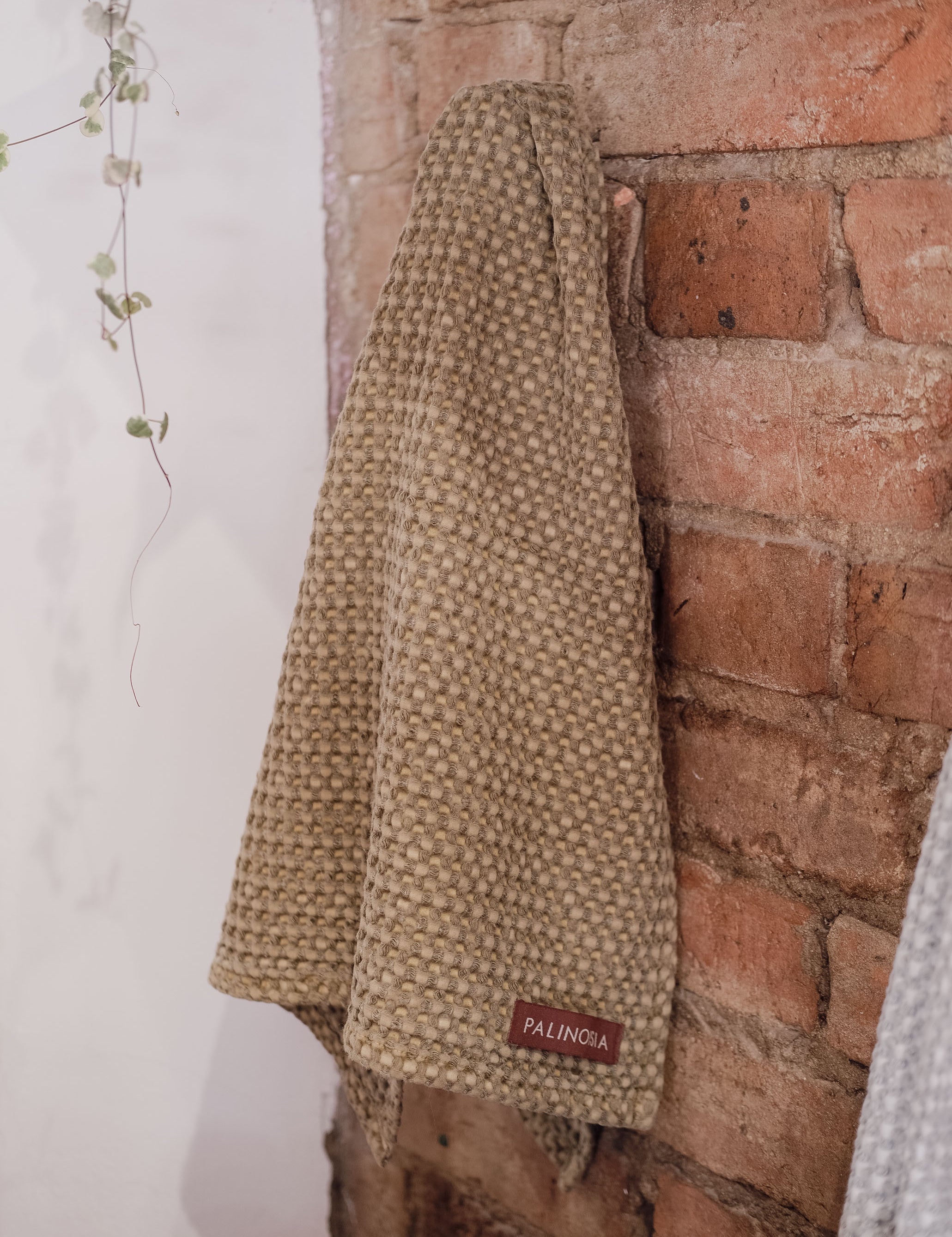 WaffleTeaTowels-41OliveBranch.jpg