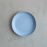 Baby blue organic pasta and dessert bowl 